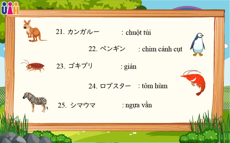 Từ vựng tiếng nhật về động vật