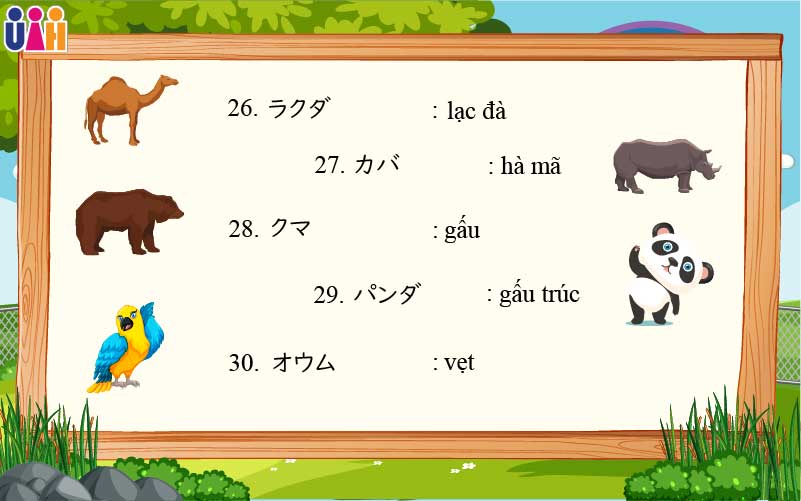 Từ vựng tiếng nhật về động vật