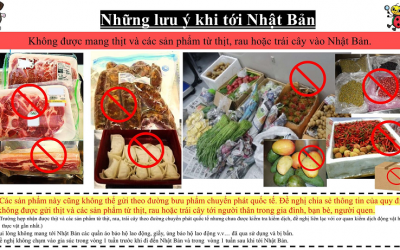 LƯU Ý KHI NHẬP CẢNH VÀO NHẬT BẢN TỪ SAU NGÀY 1/3/2022