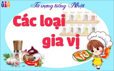 TỪ VỰNG TIẾNG NHẬT MỘT SỐ LOẠI GIA VỊ