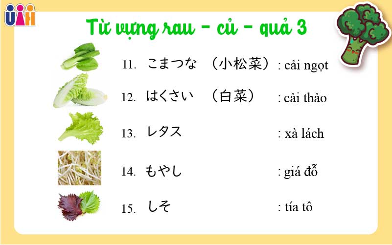 Từ vựng tiếng nhật các loại rau củ quả
