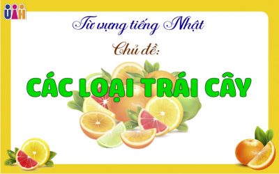 TỪ VỰNG VỀ CÁC LOẠI TRÁI CÂY THƯỜNG GẶP