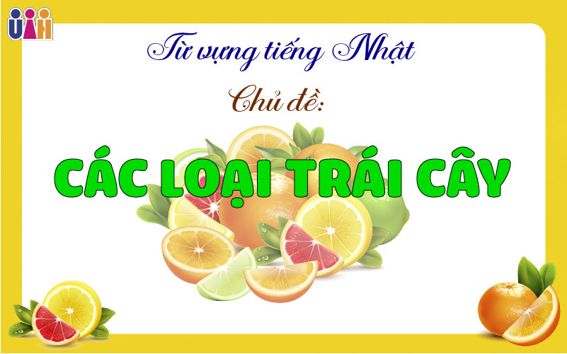 Từ vựng về các loại trái cây