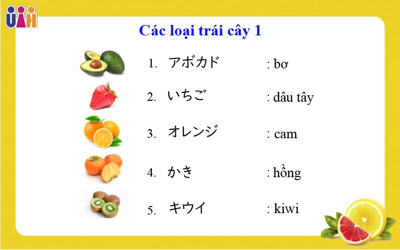 Từ vựng về các loại trái cây