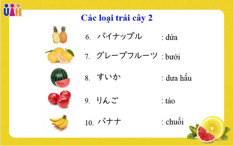 Từ vựng về các loại trái cây