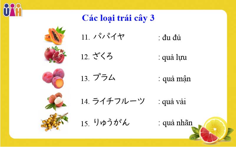 Từ vựng về các loại trái cây