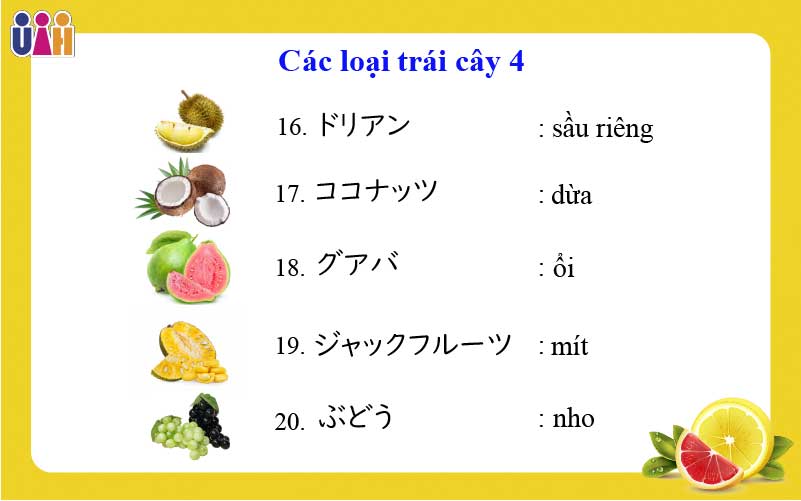 Từ vựng về các loại trái cây