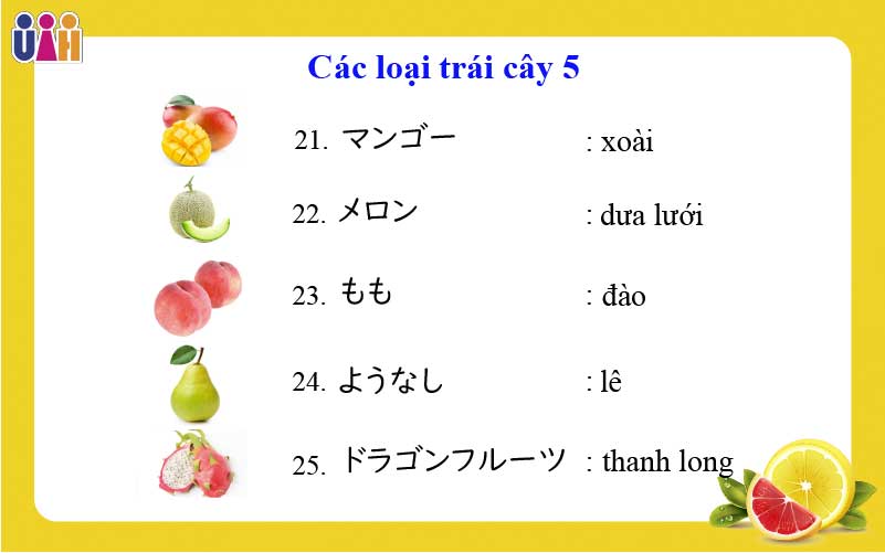 Từ vựng về các loại trái cây